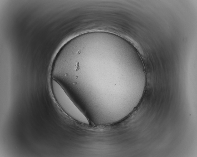X0000091641530200709201059