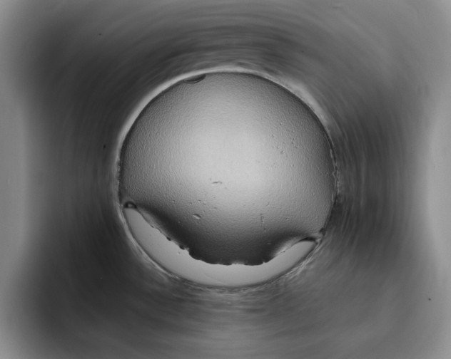 X0000091641532200709201059