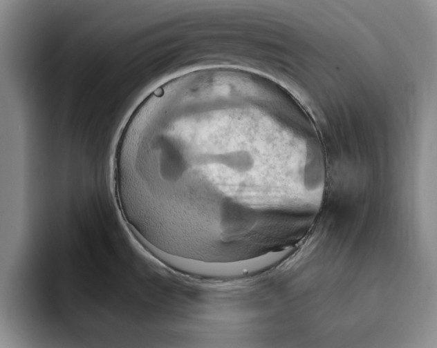 X0000091641535200709201059
