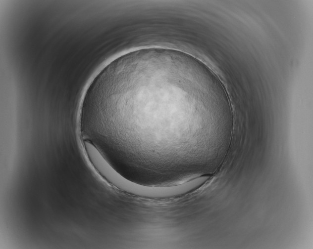 X0000091641536200709201059