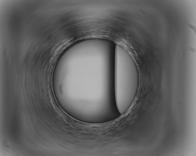 X0000091650001200708231020