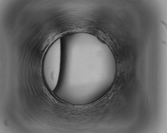 X0000091650002200708231020