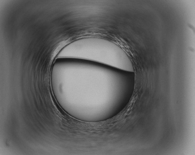 X0000091650003200708231020