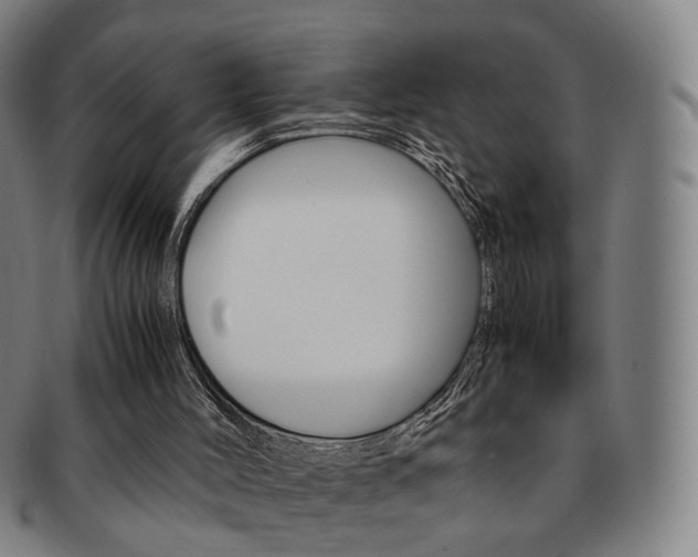 X0000091650004200708231020