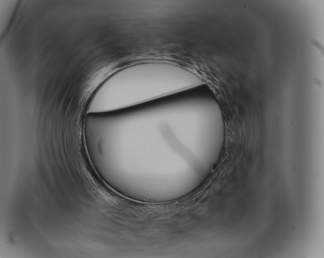 X0000091650005200708231020