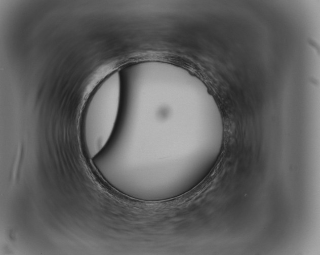 X0000091650006200708231020