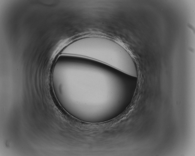 X0000091650007200708231020