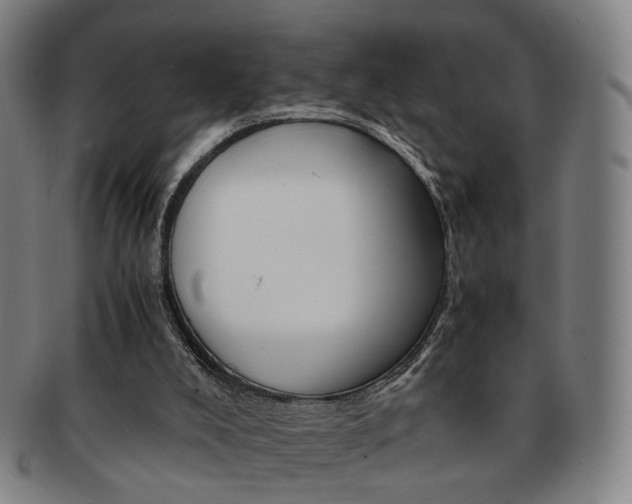 X0000091650008200708231020