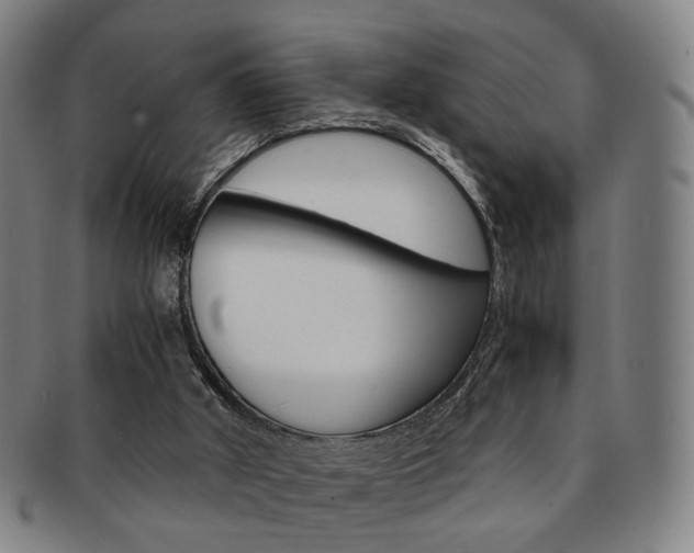 X0000091650010200708231020