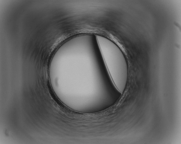 X0000091650011200708231020