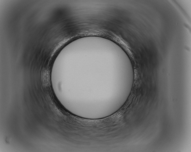 X0000091650012200708231020