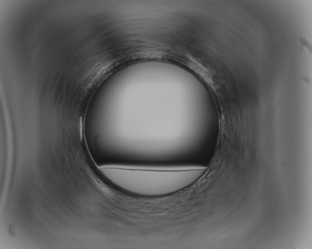 X0000091650013200708231020