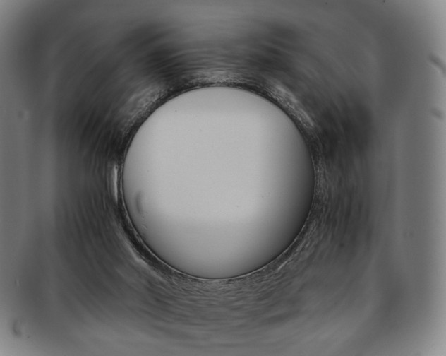 X0000091650014200708231020