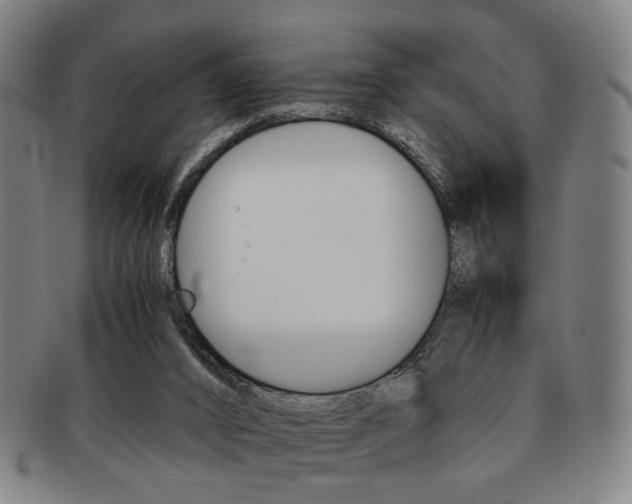 X0000091650016200708231020