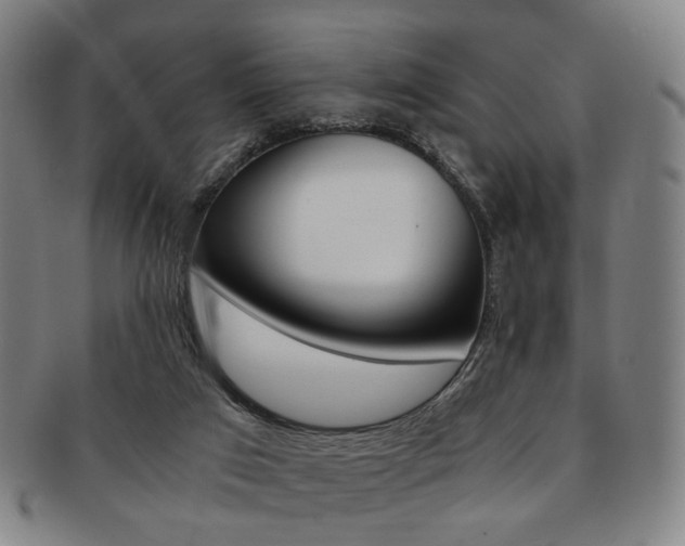 X0000091650017200708231020