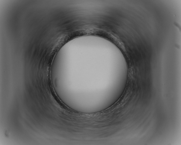 X0000091650018200708231020