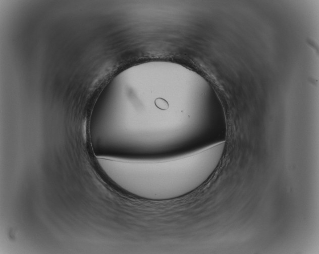 X0000091650019200708231020