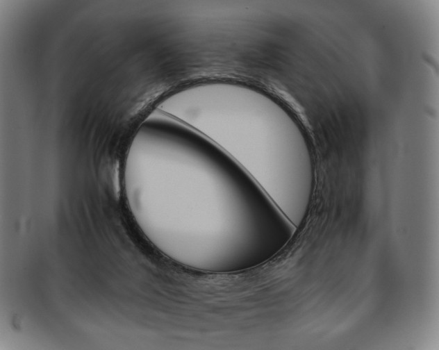 X0000091650020200708231020