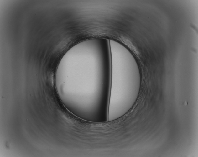 X0000091650021200708231020