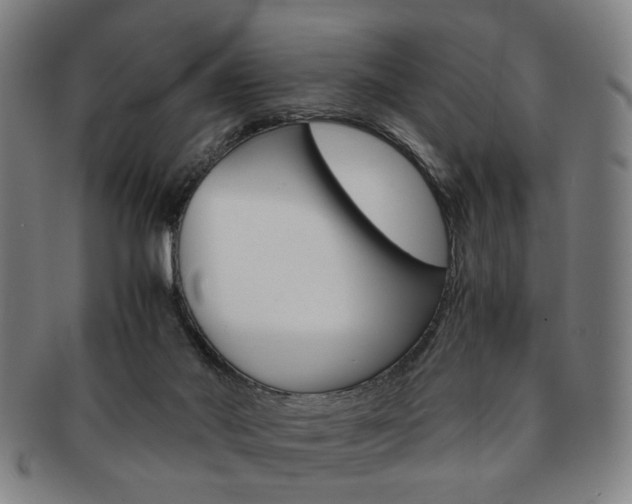 X0000091650022200708231020