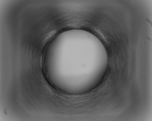 X0000091650023200708231020