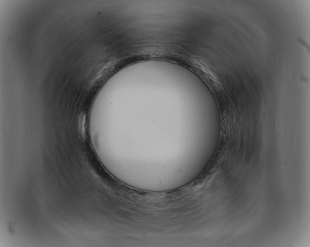 X0000091650024200708231020