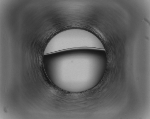 X0000091650025200708231020