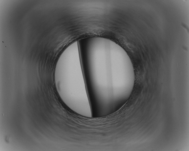 X0000091650027200708231020