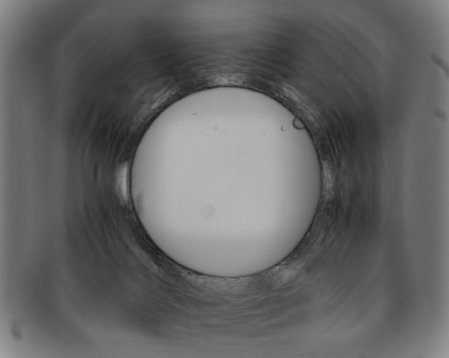 X0000091650028200708231020