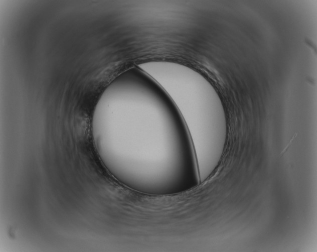 X0000091650029200708231020