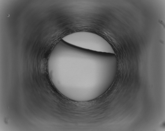 X0000091650030200708231020