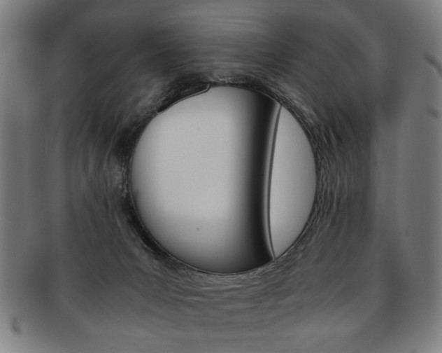X0000091650031200708231020