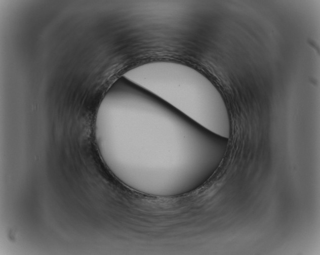 X0000091650032200708231020