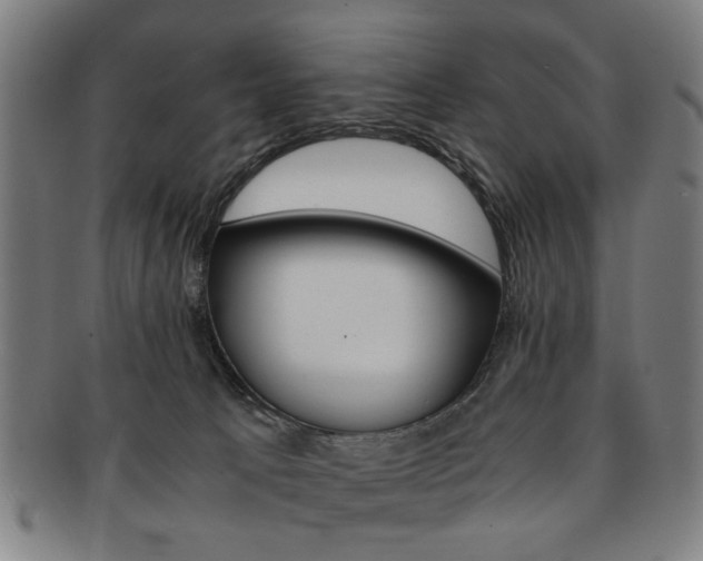 X0000091650033200708231019