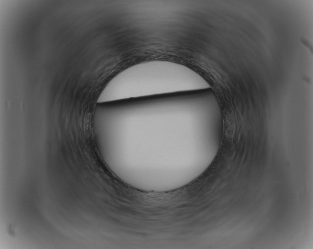 X0000091650034200708231019