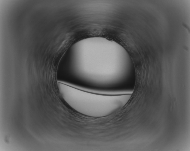 X0000091650035200708231019