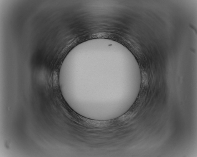 X0000091650036200708231019