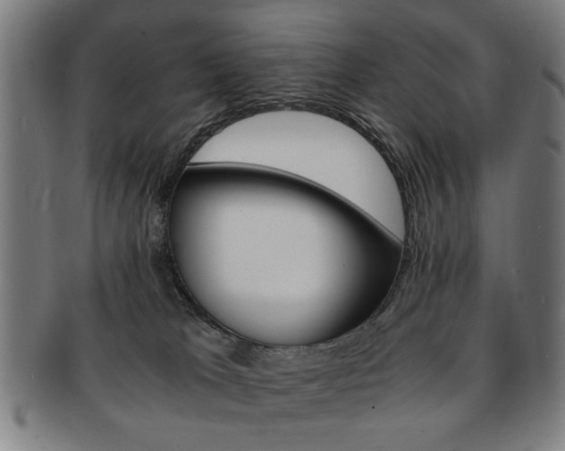 X0000091650037200708231019