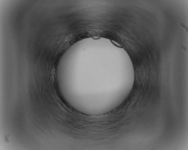 X0000091650038200708231019