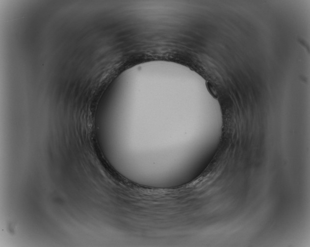 X0000091650040200708231019