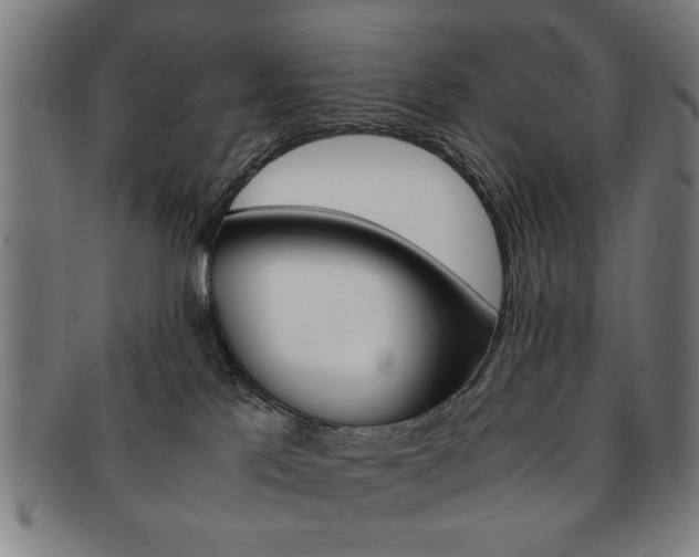 X0000091650041200708231019