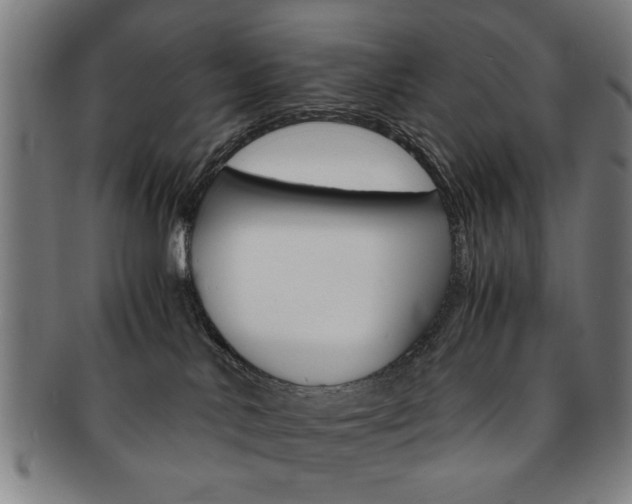 X0000091650042200708231019