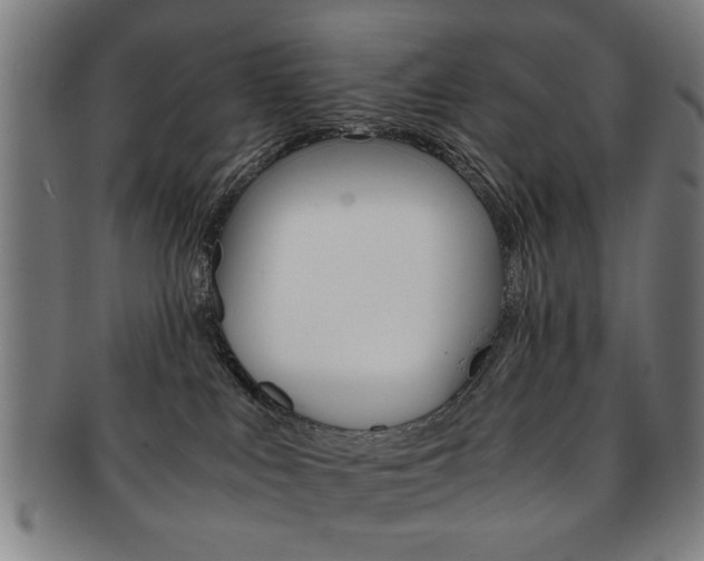 X0000091650043200708231019