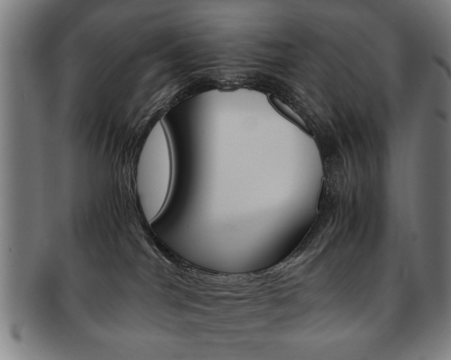 X0000091650044200708231019