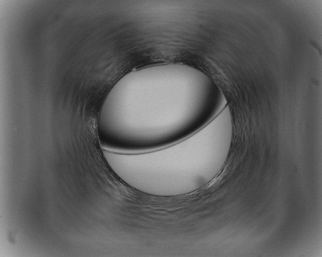 X0000091650045200708231019
