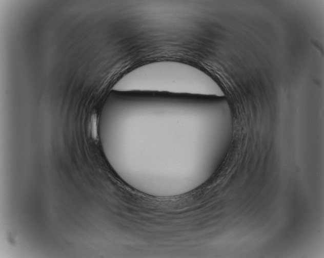 X0000091650046200708231019