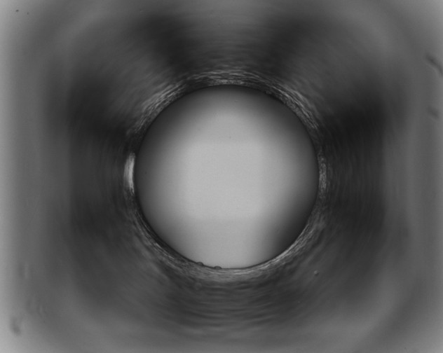 X0000091650047200708231019