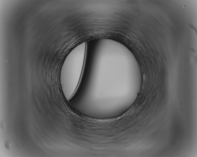 X0000091650048200708231019