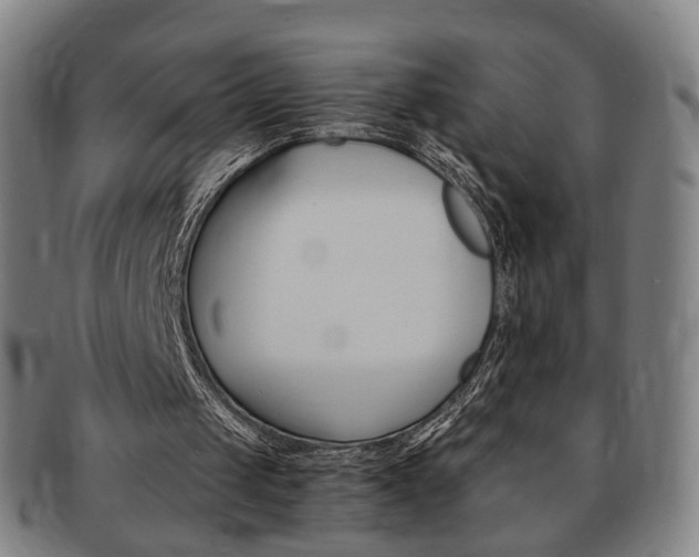 X0000091650049200708231019