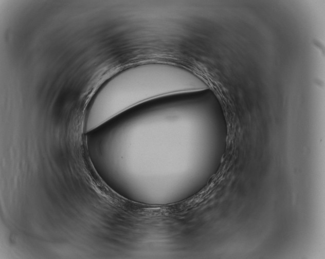 X0000091650050200708231019